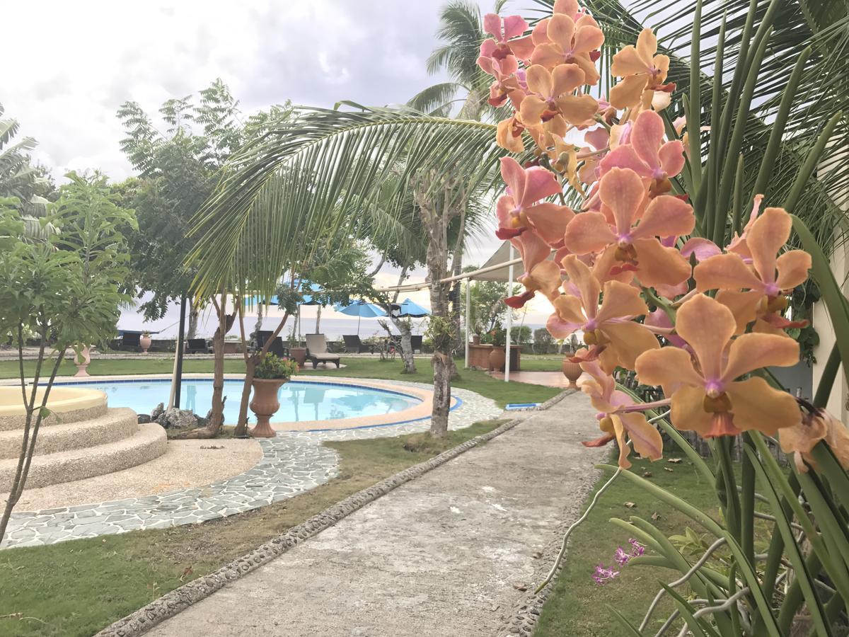 Cabilao Sunset Dive & Beach Resort Loon ภายนอก รูปภาพ